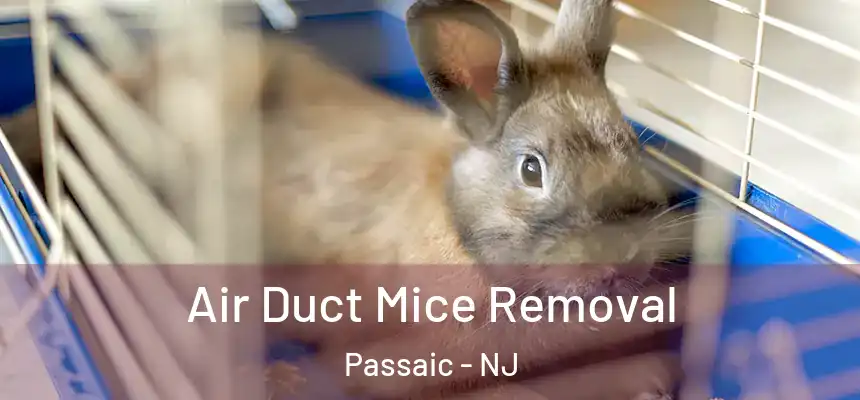 Air Duct Mice Removal Passaic - NJ