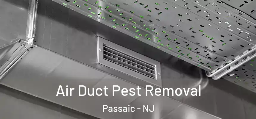 Air Duct Pest Removal Passaic - NJ