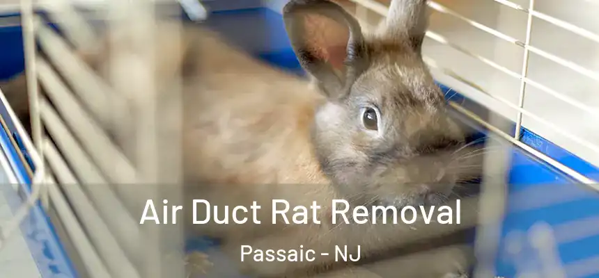 Air Duct Rat Removal Passaic - NJ