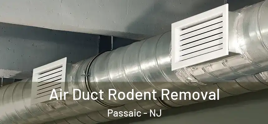 Air Duct Rodent Removal Passaic - NJ