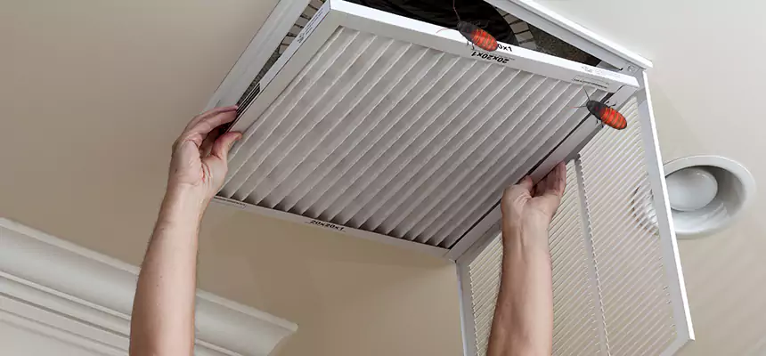 Preventive Cockroach-Proofing for Ducts in Passaic