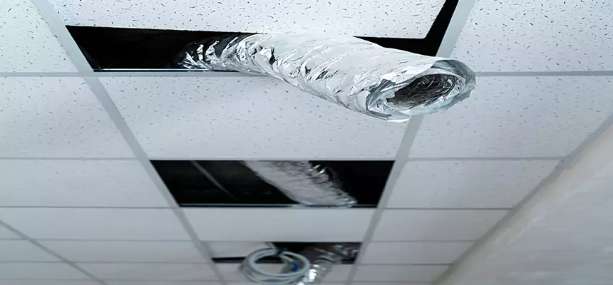 Our Air Duct Pet Hair Removal Services in Passaic, NJ