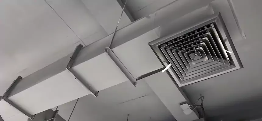 Our Pest Removal From Ducts Services in Passaic, NJ