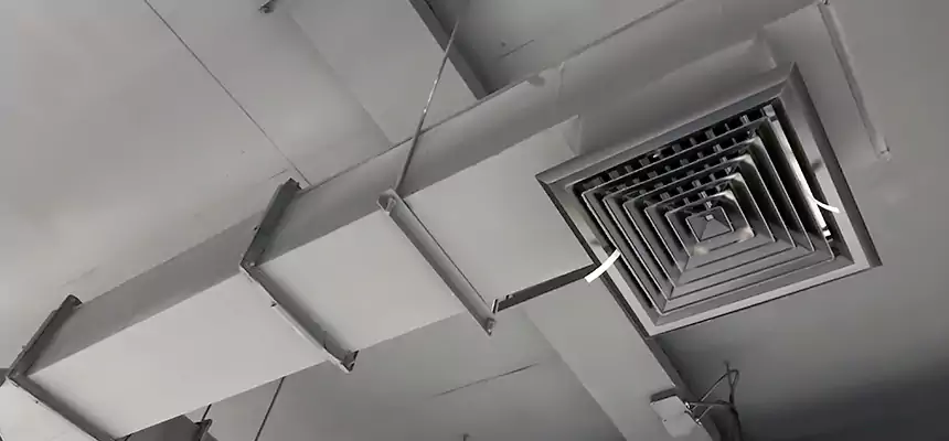 Our Rodent Droppings In Vents Services in Passaic, NJ