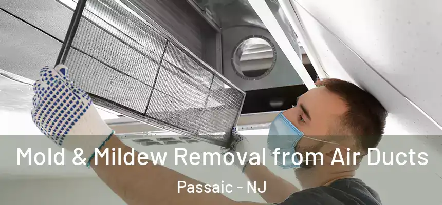 Mold & Mildew Removal from Air Ducts Passaic - NJ