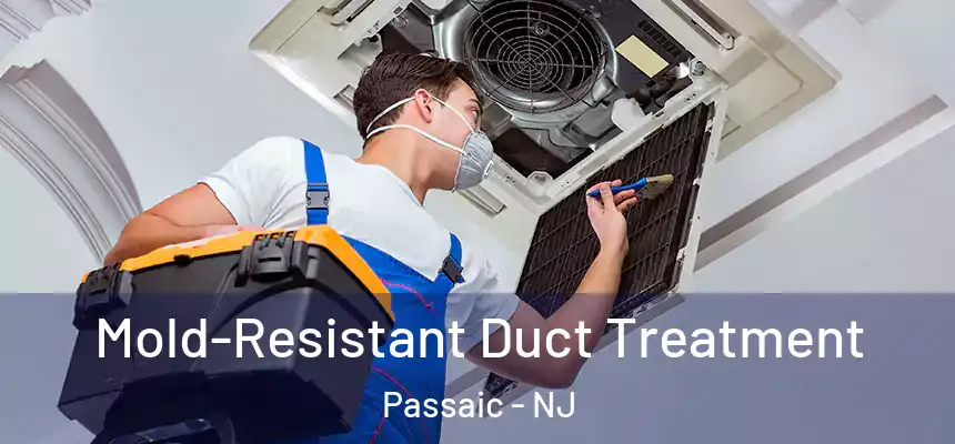 Mold-Resistant Duct Treatment Passaic - NJ