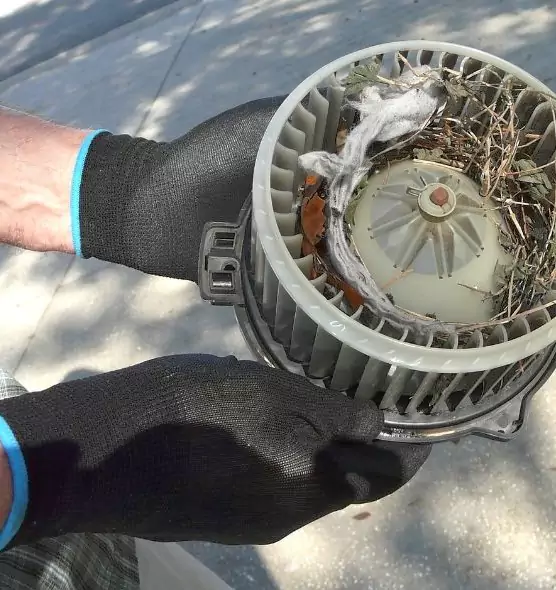 About Air Duct Rat Removal in Passaic, NJ