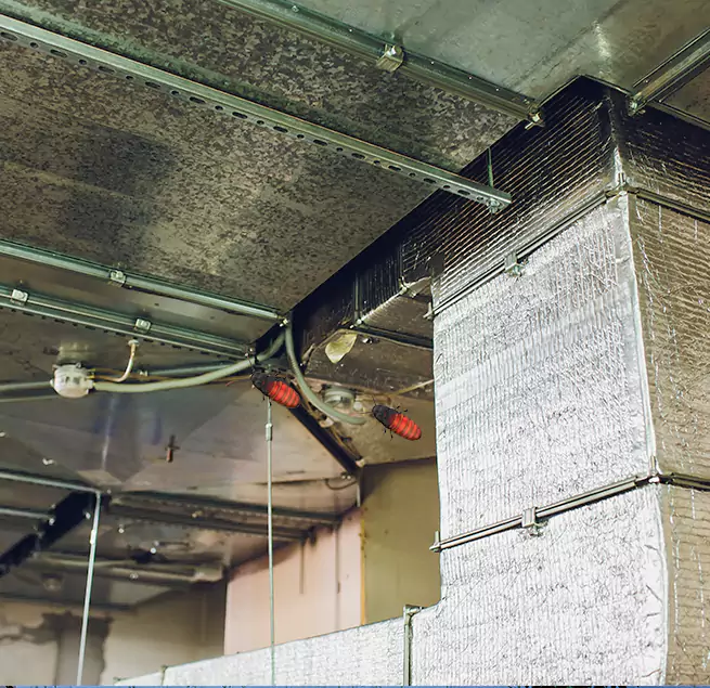 Why Homeowners & Businesses Trust Us in Passaic, NJ?