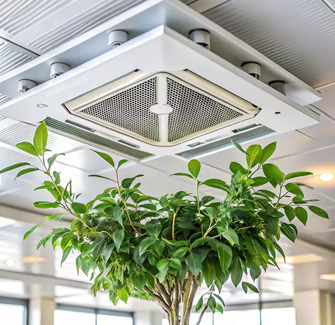 Why Homeowners & Businesses Trust Us in Passaic, NJ?